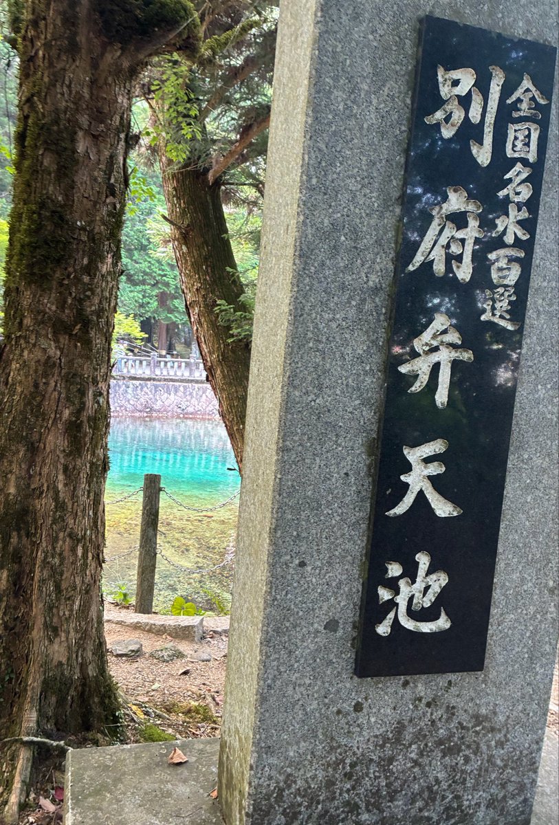 tontoloo's tweet photo. 暑すぎてやばいから帰る！(え？)

秋芳洞はまじで冷房入ってるんか！？って思うくらい涼しかったけどその後池向かうのに10年振りくらいにチャリ漕いで衰え感じるとともに絶対焼けた気がして萎えておりますが、行きたいとこ行けたからよし！

身体大事！解散！！ https://t.co/PKayR8vAAp