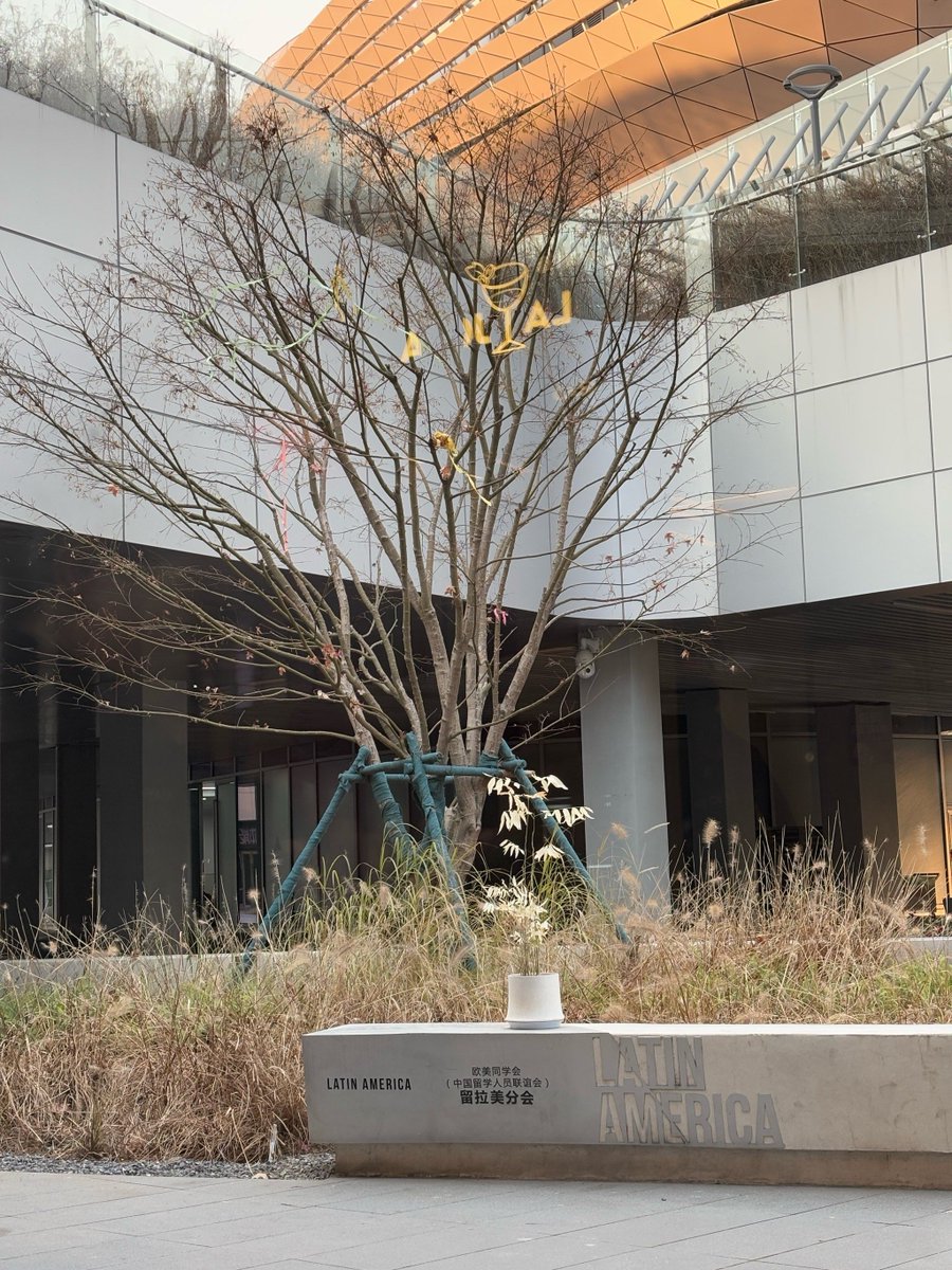 VeraRhodes8022's tweet photo. The first crisp autumn breeze of the year is here—perfect for grabbing a warm latte and a cozy knit sweater! https://t.co/uW7CNu8a8u