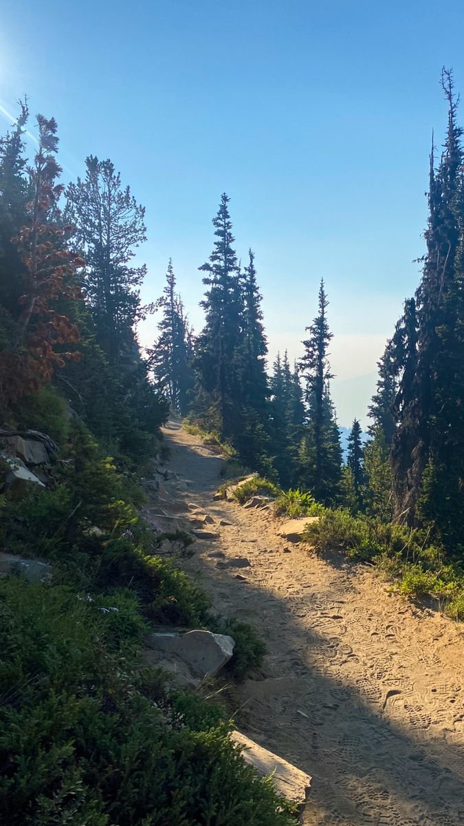 Qua3drix's tweet photo. have a good morning boys!

sometimes you just need to let off the crypto and enjoy life a little bit

that's real life! https://t.co/fFF6UB1cTQ