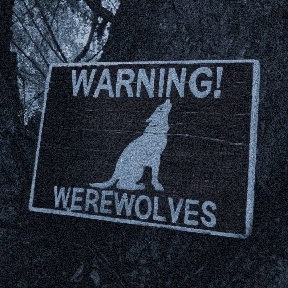 lisyava_k's tweet photo. 🐺Интерактив 🐺
Как думаете, на Валко воздействует полнолуние? Ему срывает крышу, как классическому оборотню и нужно заковывать цепями в подвале? Или все проходит спокойно, и он посмеивается над «глупыми предрассудками»? 
#BRINGVALKOBACK #ValkoIsLoved #ValkoIsValuable https://t.co/EFPvcVaW2B