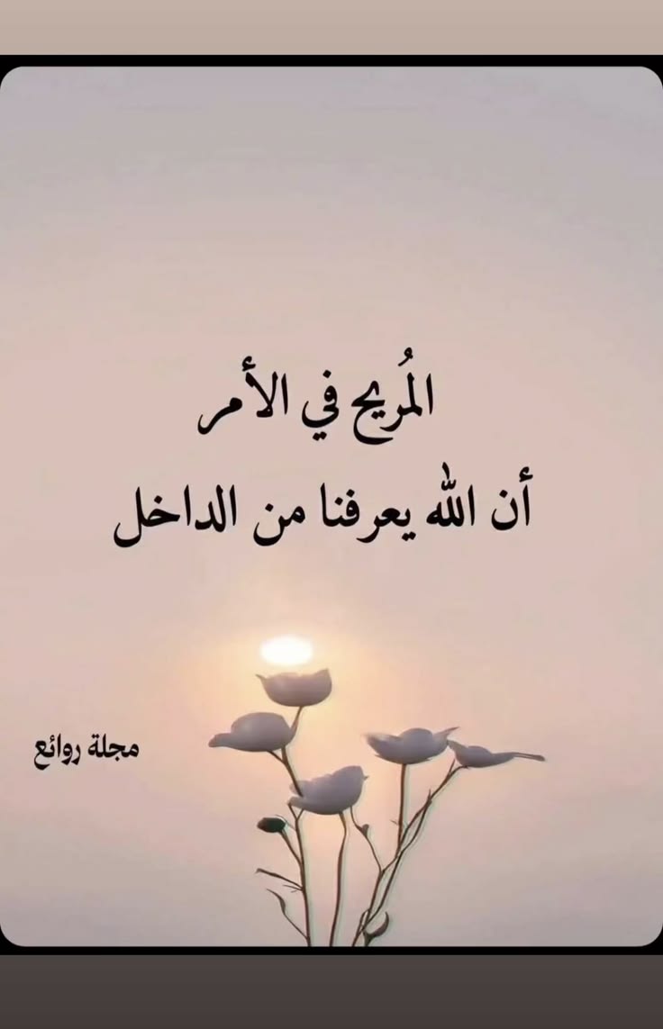 _4_0M tweet picture