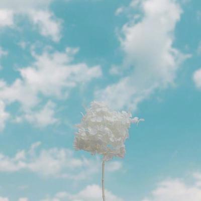 Richard41812334's tweet photo. "Not everyone has the same heart as you. That's why they can sleep at night." 🌈 🌐 🌻 https://t.co/ANldydzWoN