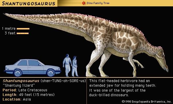 SWAMIS123REX's tweet photo. #sauriancore Britannica Dinosaurs https://t.co/OQ8jaCNIr6