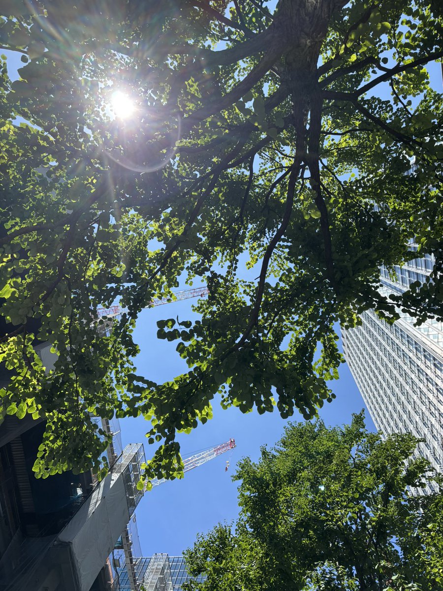 Minionzchan's tweet photo. またまた東京駅散策🗼☕️🍃✨✨ https://t.co/ttm3l6JPPZ