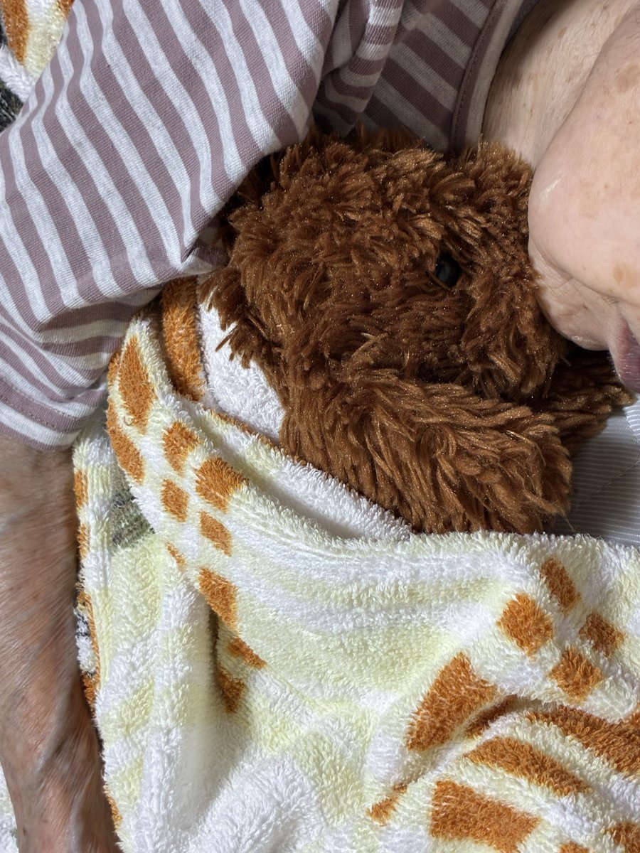 MintGreenako's tweet photo. お母ちゃんもぷー🐶も
私も元気です😚
　
お父ちゃんは悪くなっていませんが
良くもなっていません

介護者のみなさん
暑いけど　しんどいけど
生きていきましょう！

とにかく　今夏も
ダイキンのエアコンよ、頑張ってくれ https://t.co/kL3s4Wagev