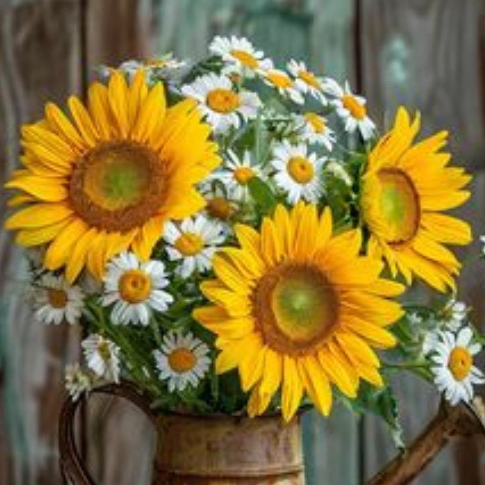 disasterology67's tweet photo. @ayhnanan @bloocheaz They’re not the exact same flowers 😭. Rui has actual sunflowers + daisies on his side while mizuki has false sunflowers on hers. Similar looking but not the exact same https://t.co/t3kbj3kYdH