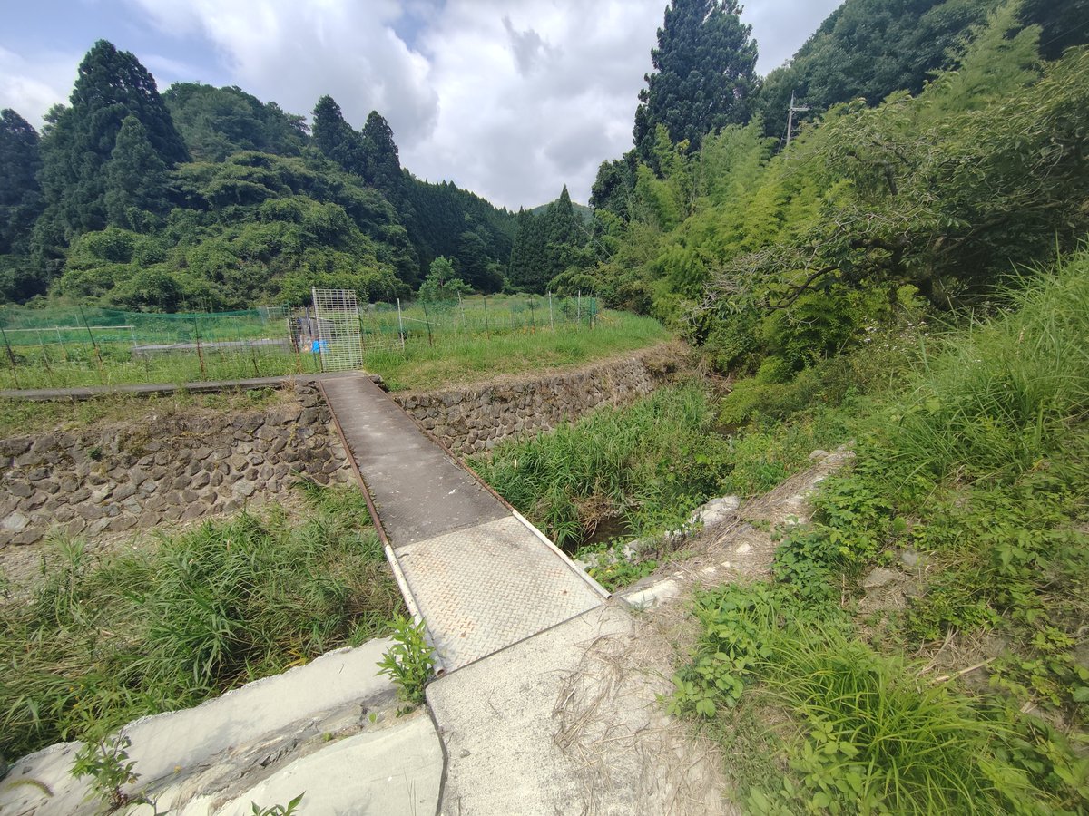 jcmt2010's tweet photo. 西国三十三所　亀岡から清阪峠を無事越え大阪茨木の山手台へ。途中食べた昨日直売所で買ったゆで卵が美味。時々吹く風が涼しい。暑い中だからこそ、色々有難いと感じます。大阪とは思えない農村風景に故郷の違う姿を発見。AMラジオから聞こえる浦島太郎の歌がしみました。#歩き巡礼　#西国三十三所 https://t.co/G1b5aUW7zV