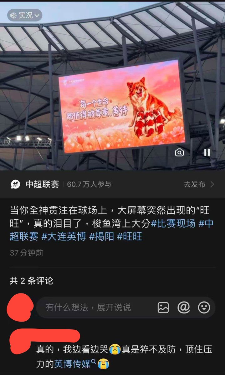 whyyoutouzhele's tweet photo. 7月18日晚，中超大连英博对阵山东泰山的比赛期间，有球迷拍到，大连梭鱼湾足球场的大屏突然出现了此前在广东揭阳虐狗事件中遇害的流浪母犬“旺旺”。

当时不少观众正全神贯注观看比赛，看到“旺旺”的画面后十分触动。相关视频随后在网络流传，有网友感谢大连市民及负责现场大屏内容的相关团队，让这起受到广泛关注的动物虐待事件，出现在数万人的公共���育场中。