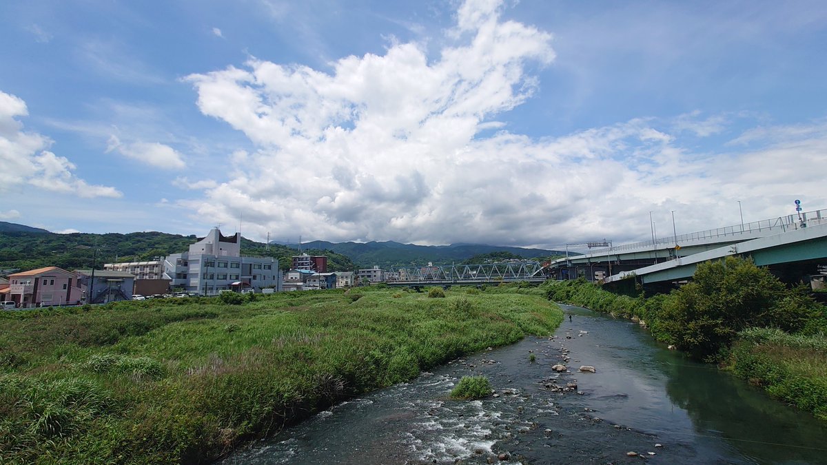 desperaaaad's tweet photo. すごく夏を感じております https://t.co/li8WiMYORP