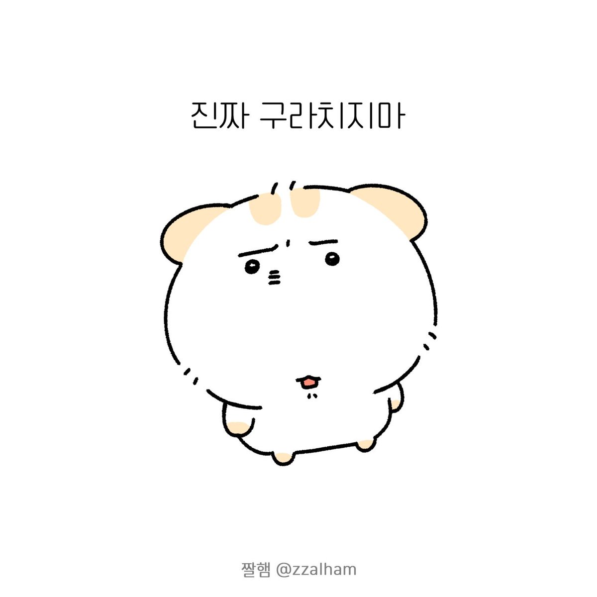 zzalham's tweet photo. 연휴가 오늘 마지막이라고?
내일이면 출근해야한다고? https://t.co/VmXsW4jeBo