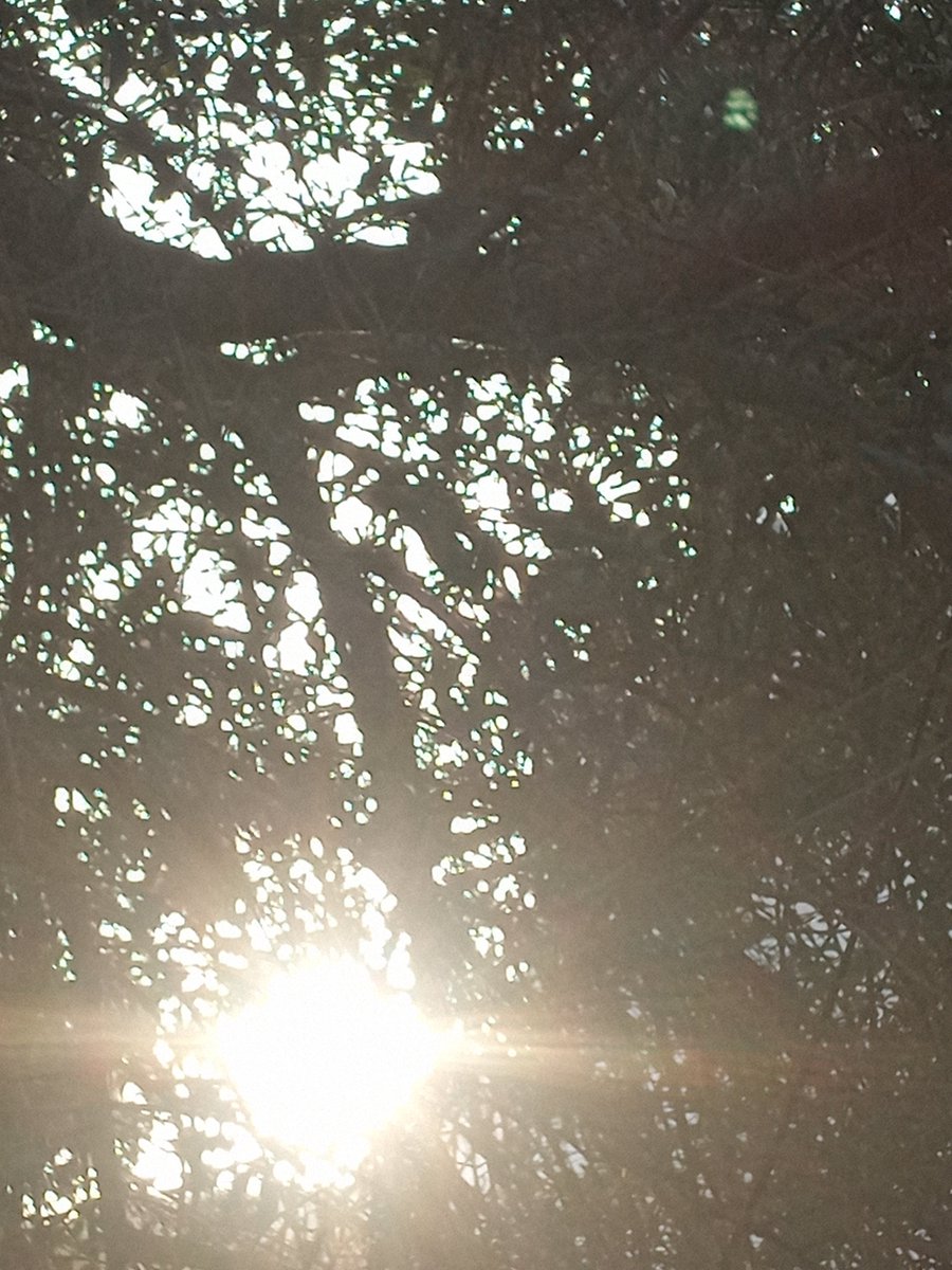 rim_driss's tweet photo. لماذا الهجر والعتاب

وقد كنا أصحاب

تعرف كل شيء عني

قرأتني ككتاب مفتوح

لم أخفي عنك شيئا

كنت تعرف خبايا روحي

وتعرف كل تفاصيلي

أما أنت

فلم أكن أدرك إلا أنك

تحبني

https://t.co/Dwwvwel5Pg https://t.co/wqYoPKNFLZ