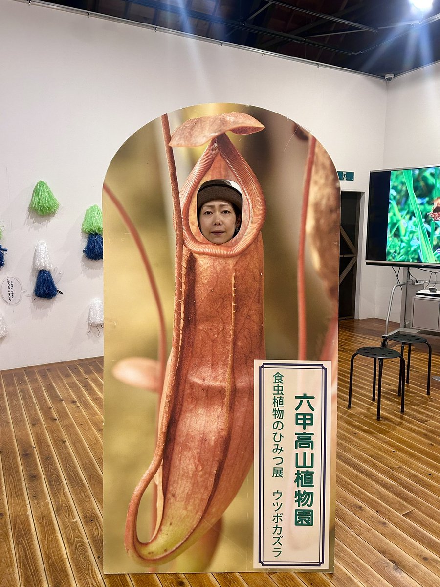 everygohan's tweet photo. 朝から母と娘と六甲高山植物園へ。
母も高齢なんで暑くなる前に行ったのですが、山の方は爽やかで涼しく、空気が澄んでいて気持ちいい。ケーブルカーとバスで行って、早めに降りてカフェで軽食をとって解散。少しの時間でもかなり癒されました。
さて、帰って明日の岡山遠征準備だー。 https://t.co/yiT1F0ZOTm