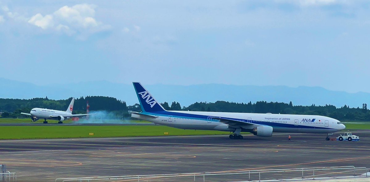 Takutoo✈️ tweet media