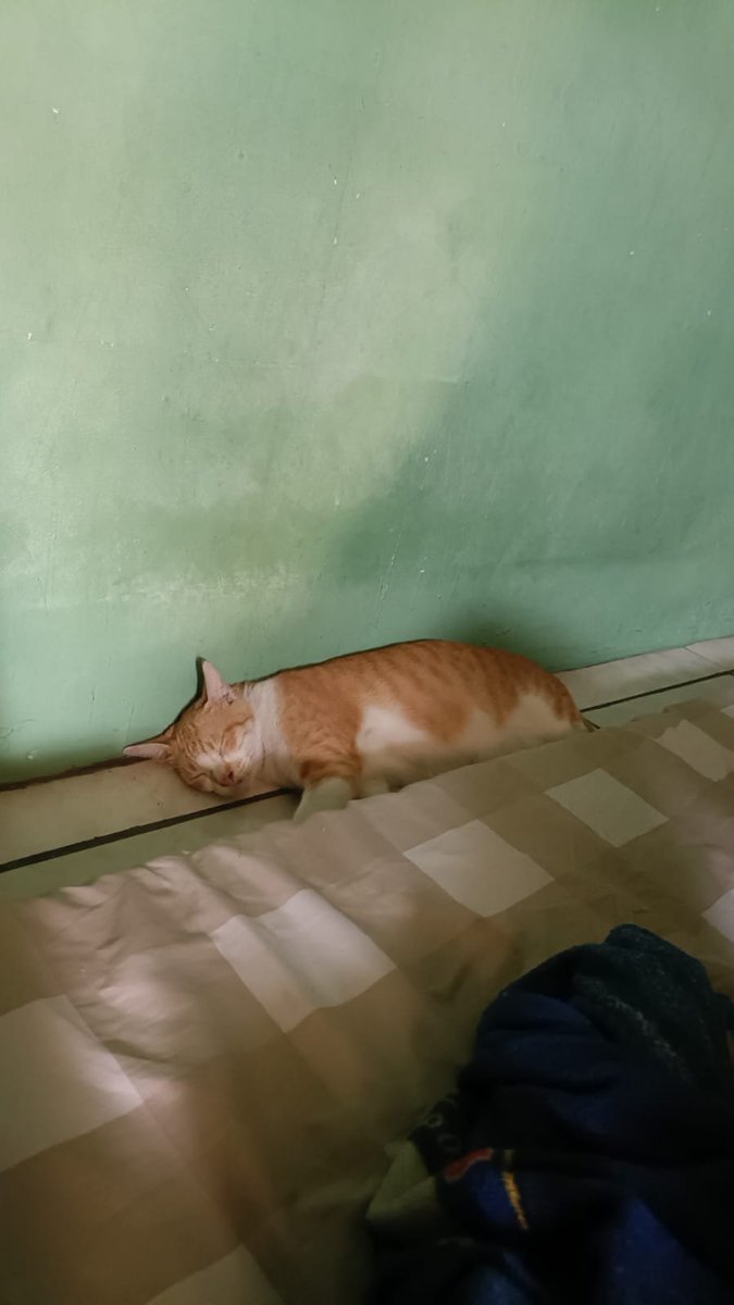 CJ_0703's tweet photo. Rencana hari ini mau bangun siang gegara abis begadang nonton bola https://t.co/F1QF2kBPoC