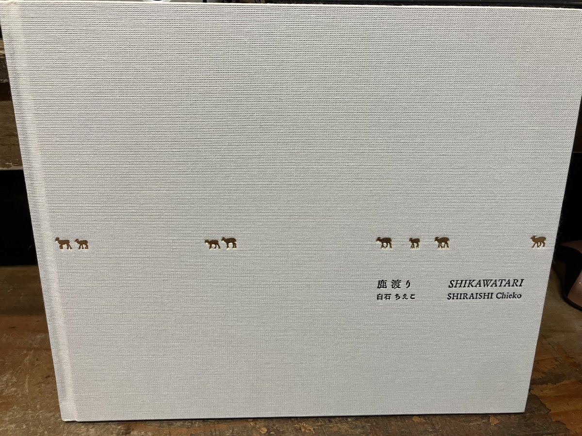 白石ちえこ写真集「鹿渡り」を店頭に。鹿が箔押しされてる造本が良いです。