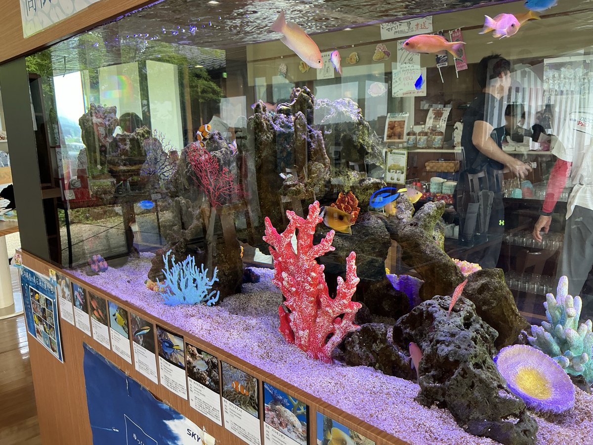kphc110_ryo's tweet photo. マグロセット(マグロカツ、マグロメンチ、モズクの天ぷら)
やんばるやぎのたたき 
#2026〜27スタンプラリー

https://t.co/GekyXPF49x

(沖縄食堂 塩谷郡高根沢町, 栃木県, 329-1212, JP) https://t.co/7QWW60fp0W