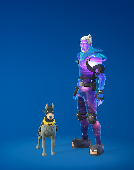 Ric6XP's tweet photo. Ace The Bat-Hound Dog....

What Are Your Thoughts On This? https://t.co/5i1xKHytZn