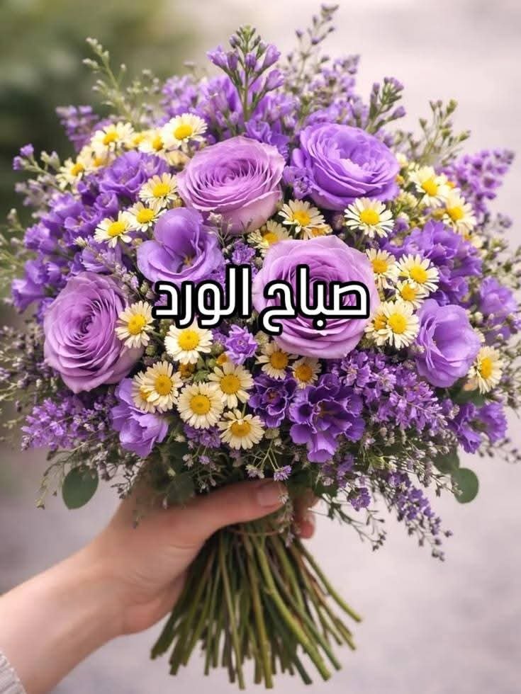aws_ali16075's tweet photo. @hamsa76228482 https://t.co/hrrXgQ9io0