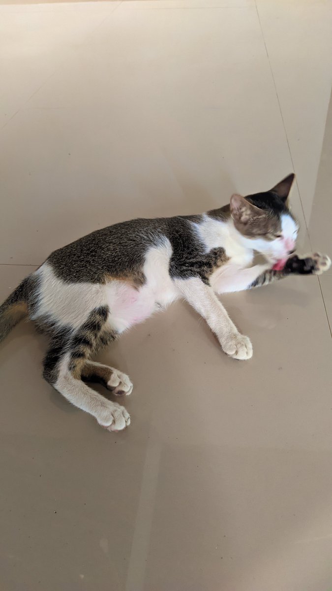KangPosting88's tweet photo. ya ampun capeknya jadi babu
pagii pagii sudah di suruh bersihin beginian https://t.co/o4FxdujOub