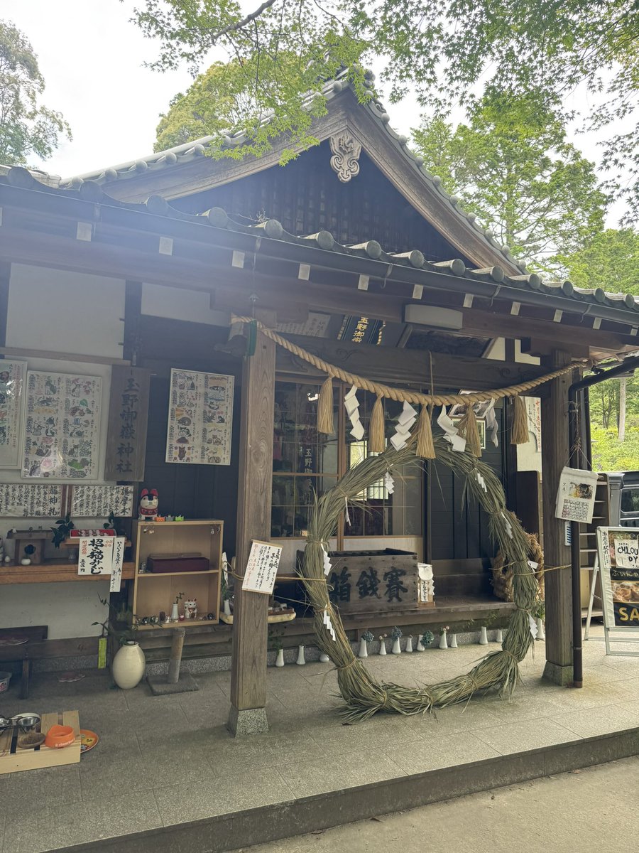 Pink_9584's tweet photo. 猫がいる神社まで山登って行ってきた、⛰️可愛くて死んだ https://t.co/8iVRqpRbZh