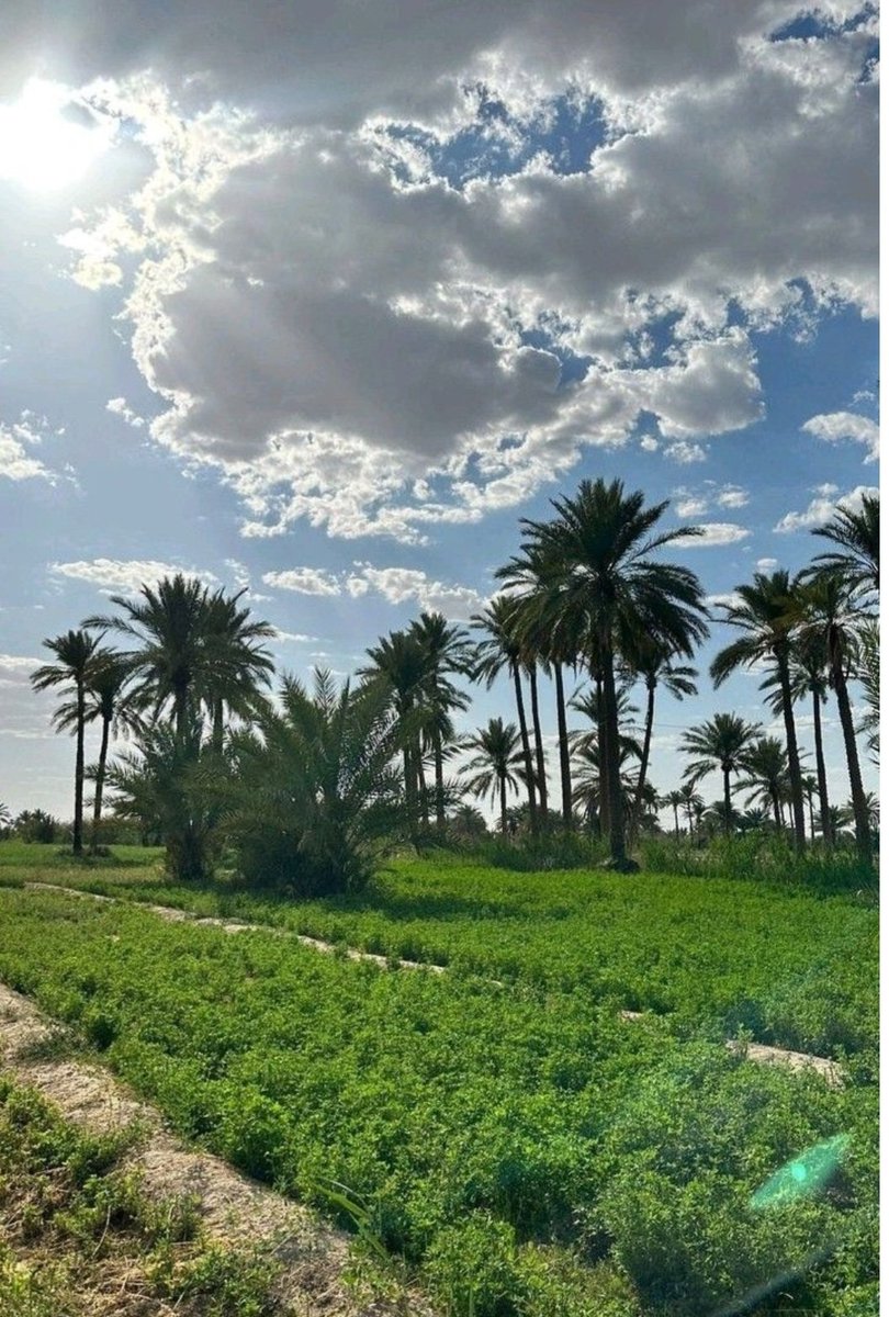 toq4555's tweet photo. *اللهم منك الرجاء وإليك الدعاء نسألك يا خير من سئل وأكرم من أعطى*...*صباح تنشرح فيه الصدور وتتسع فيه ألأرزاق*
*ونسألك ياالله توفيقا وتيسيرا.آمين يارب العالمين* 

     🌹صــبــاح الخــيــر🌹 https://t.co/bDSgy75K5I