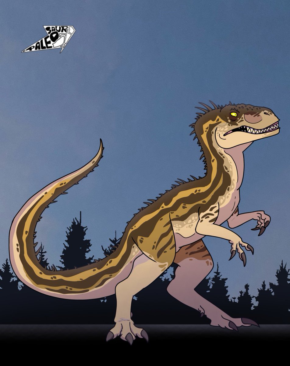 Paleo_Saur's tweet photo. Carcha 🦈

#carcharodontosaurus #jurassicworld #mattel #matteljurassicworld #dinosaur #carnivore #cretaceous #jurassicpark #animal #art #artwork #digitalart #draw #drawing #toy #jurassicworldevolution #prehistory https://t.co/nH7meaGDGH