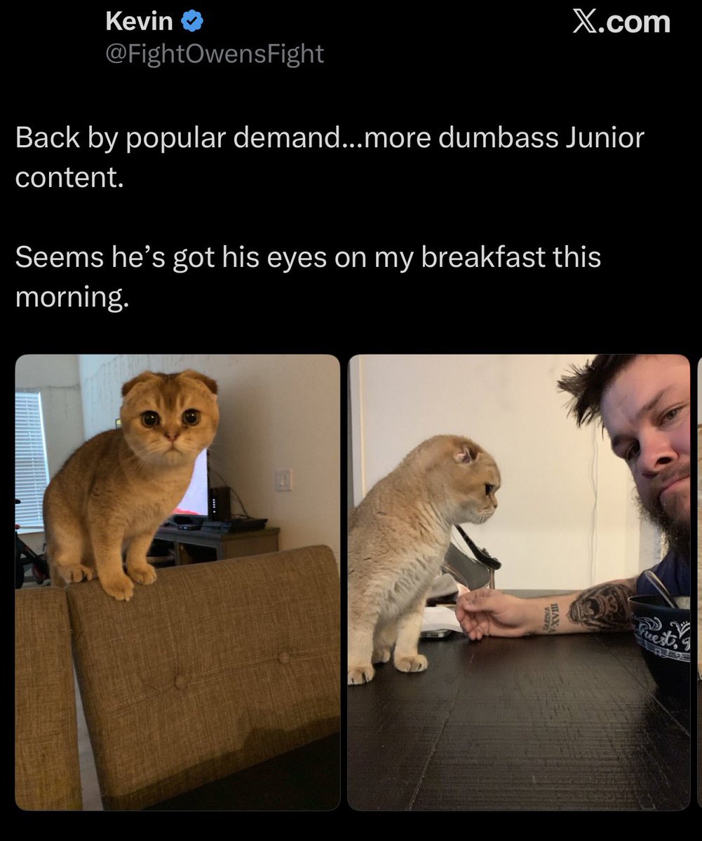 DrStarrk's tweet photo. @FightOwensFight 

It’s 2026 and I want to ask you this one question, is Junior still in your words “a dumbass?” https://t.co/Dsfs03waNC