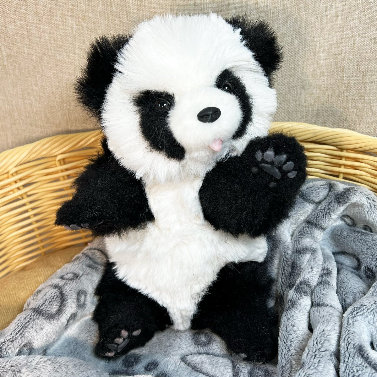 子パンダの『チェン』がお家探しを始めました😉 ＃ハンドメイド