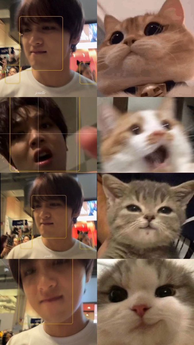 uwuawai's tweet photo. miaw 🐱🤏🏻 https://t.co/AoX2ZPqXWl