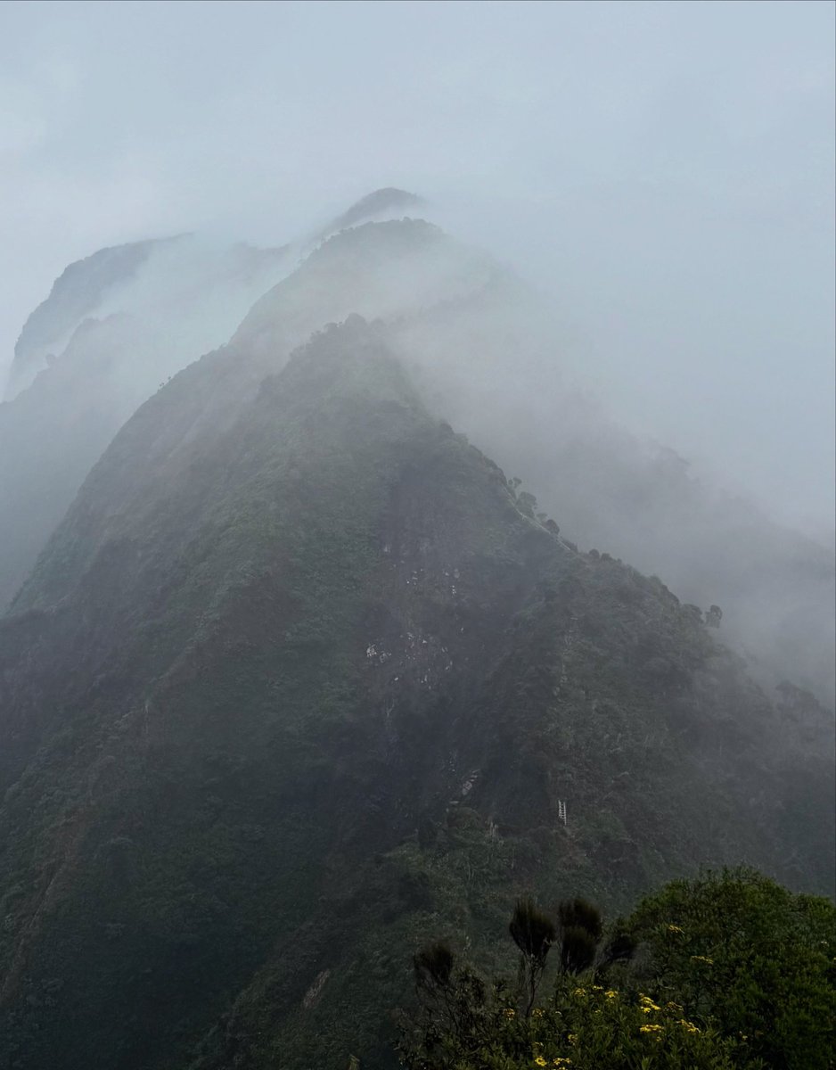 GChrtrn's tweet photo. The Great Lakes region has been home to me for more than 13 years since 2009. What better way to pay my respects one more time before leaving than from the top of Mount Sabyinyo? Asanteni.

La région des Grands Lacs m’a hébergé pendant plus de 13 ans depuis 2009. Quelle meilleure façon de lui rendre hommage une dernière fois avant de partir que depuis le sommet du Mont Sabyinyo ? Asanteni.

#Virunga #GreatLakes #Sabyinyo #TukoPamoja