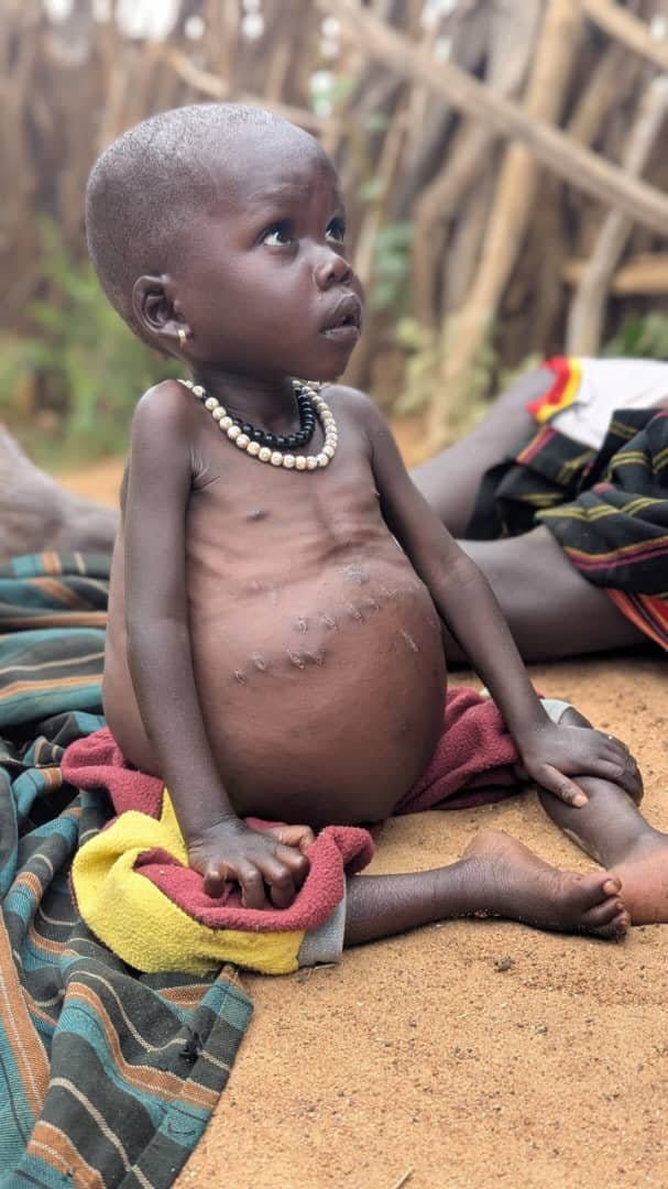 SsemujjuNganda1's tweet photo. Offertory in every church in Uganda today should be dedicated to supporting the people of Karamoja who are perishing due to hunger. Share this message with your Pastor, Bishop or Apostle. https://t.co/USrbFgoYq4