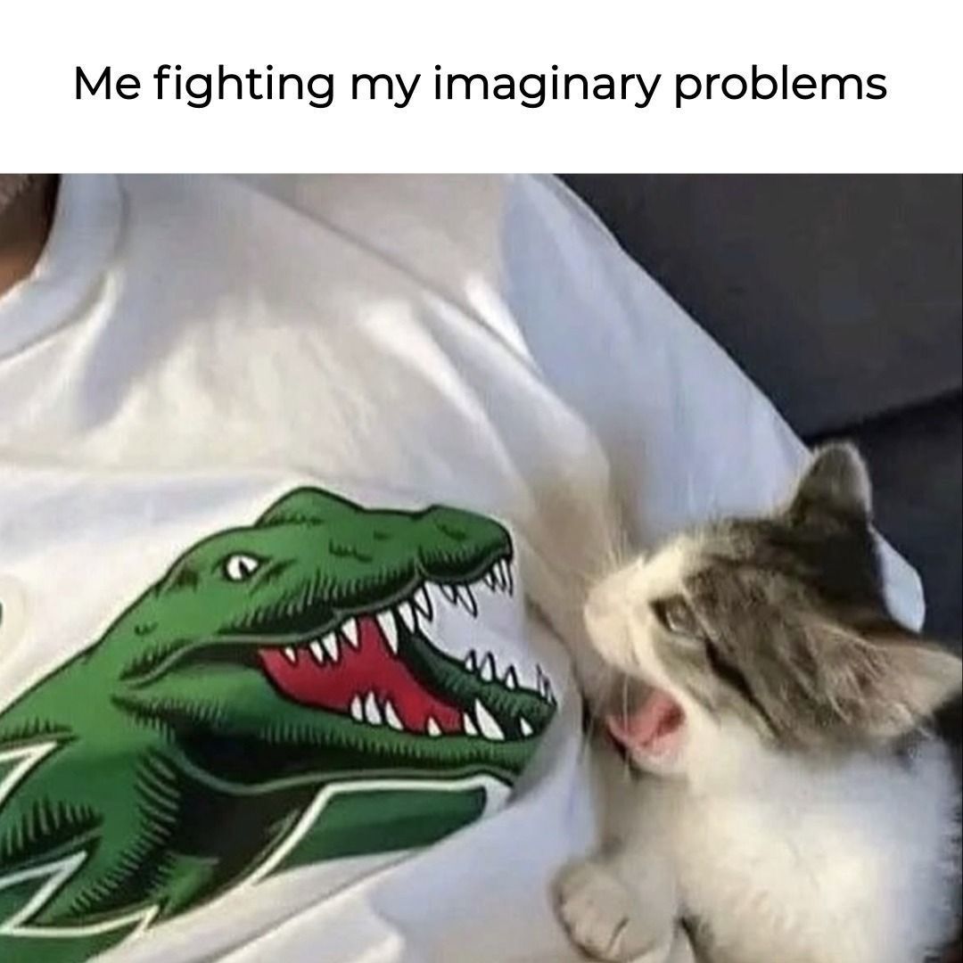 Cats_ooc's tweet photo. https://t.co/Ky9548d0I5