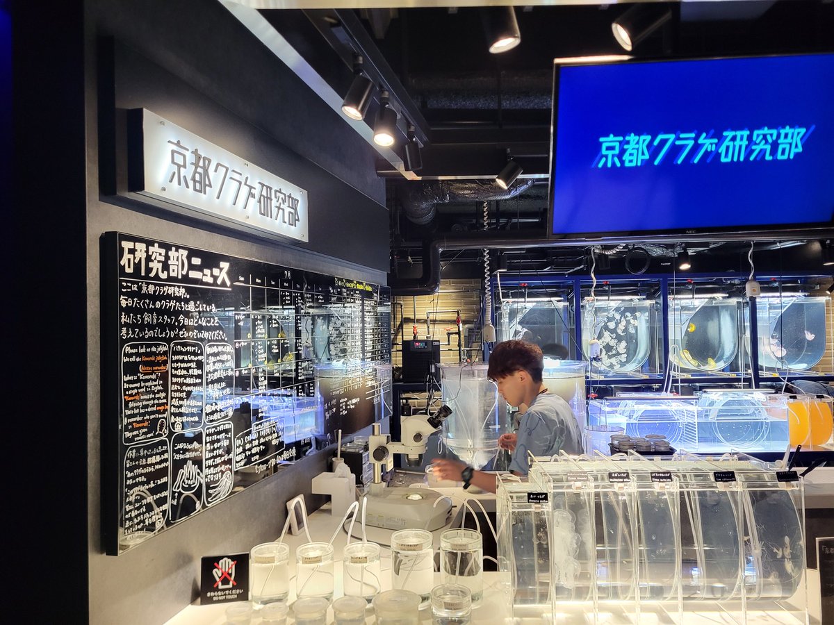 full5963's tweet photo. 京都っぽいような
京都っぽくないような
そんな京都を満喫してました https://t.co/D4KhmBAGiY