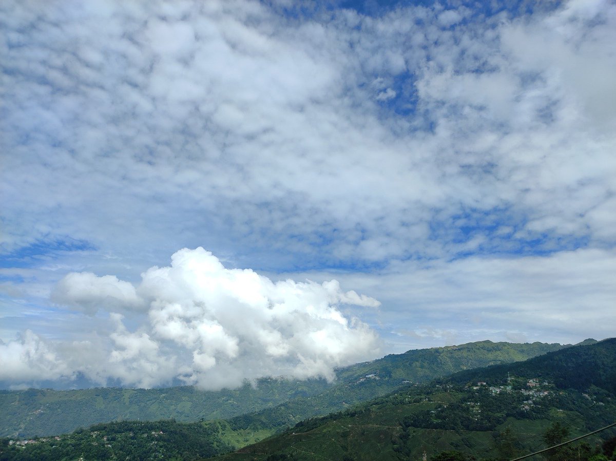 ShahiAruna's tweet photo. Queen of hills Darjeeling 🩷💚 https://t.co/wuW8nVbFIY