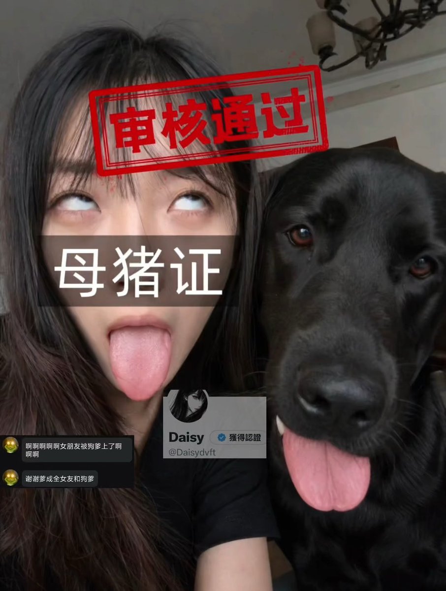 Daisydvft's tweet photo. 你的女友已认证 https://t.co/GSwflrYSGp