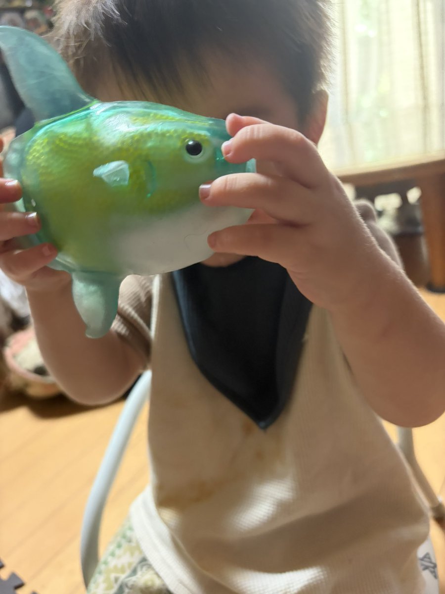hmcoisi's tweet photo. エイがよかったらしい次男 https://t.co/YHGn652CiM