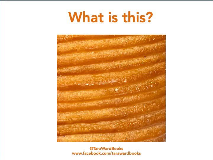 TaraWardBooks's tweet photo. Your #SundayQuiz! Let's see what you come up with this week! #SundayFunday #HaveAGo #PictuteChallenge #PhotoChallenge https://t.co/zBmdPwfDyO