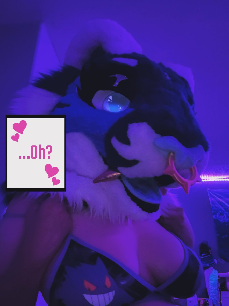 BatBountyAD's tweet photo. Good, it was expensive 🫶💕
.
.
#furry #femalefur #femalefursuiter #softsuiting #softsuiter #fursuiting https://t.co/dixvbcdmVh