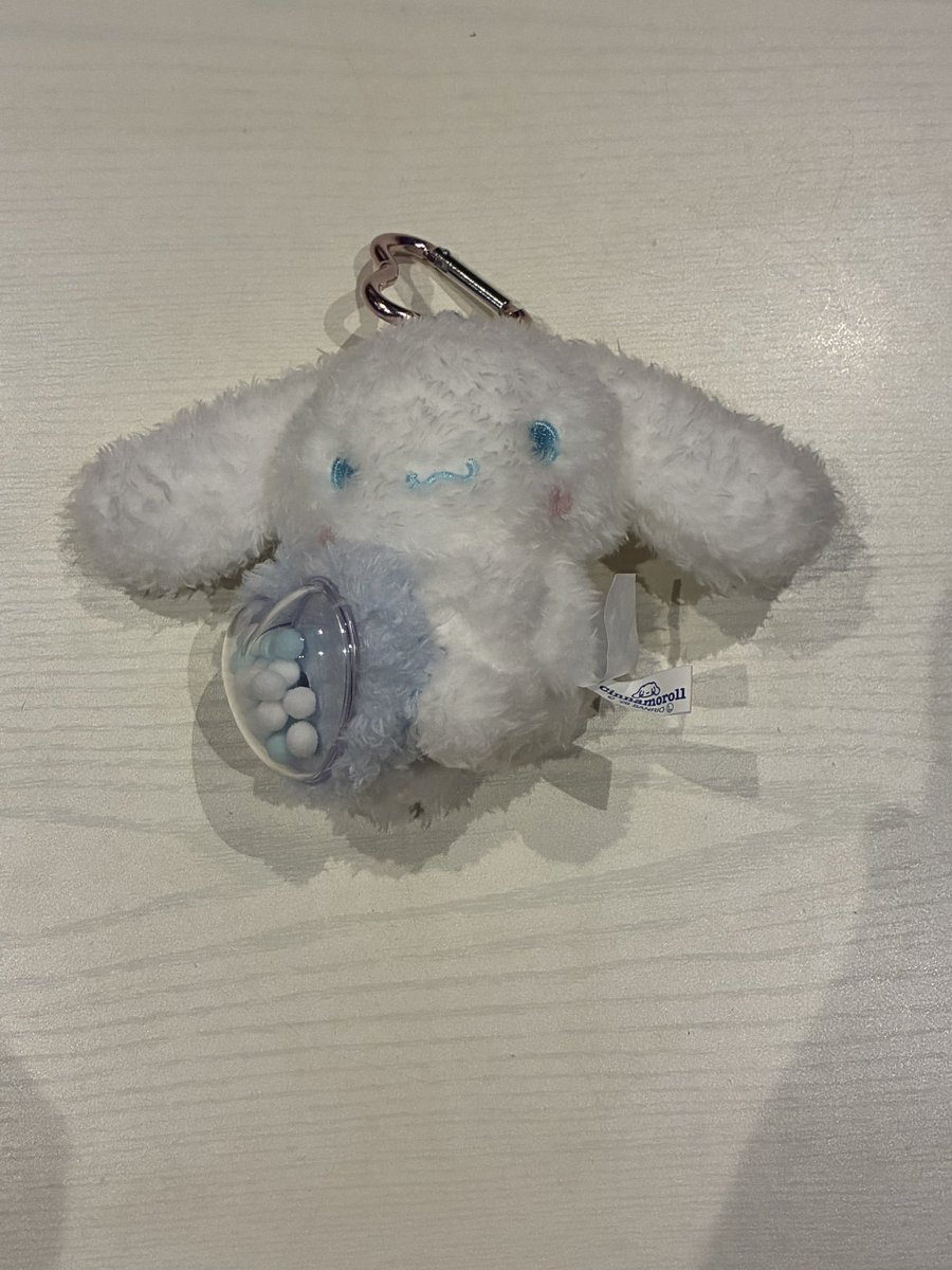 kai_kai627's tweet photo. ゲーセンでとったシナモンが可愛すぎてウキウキで撮影会を始めるシナモローラー https://t.co/eOBY8mXAGF