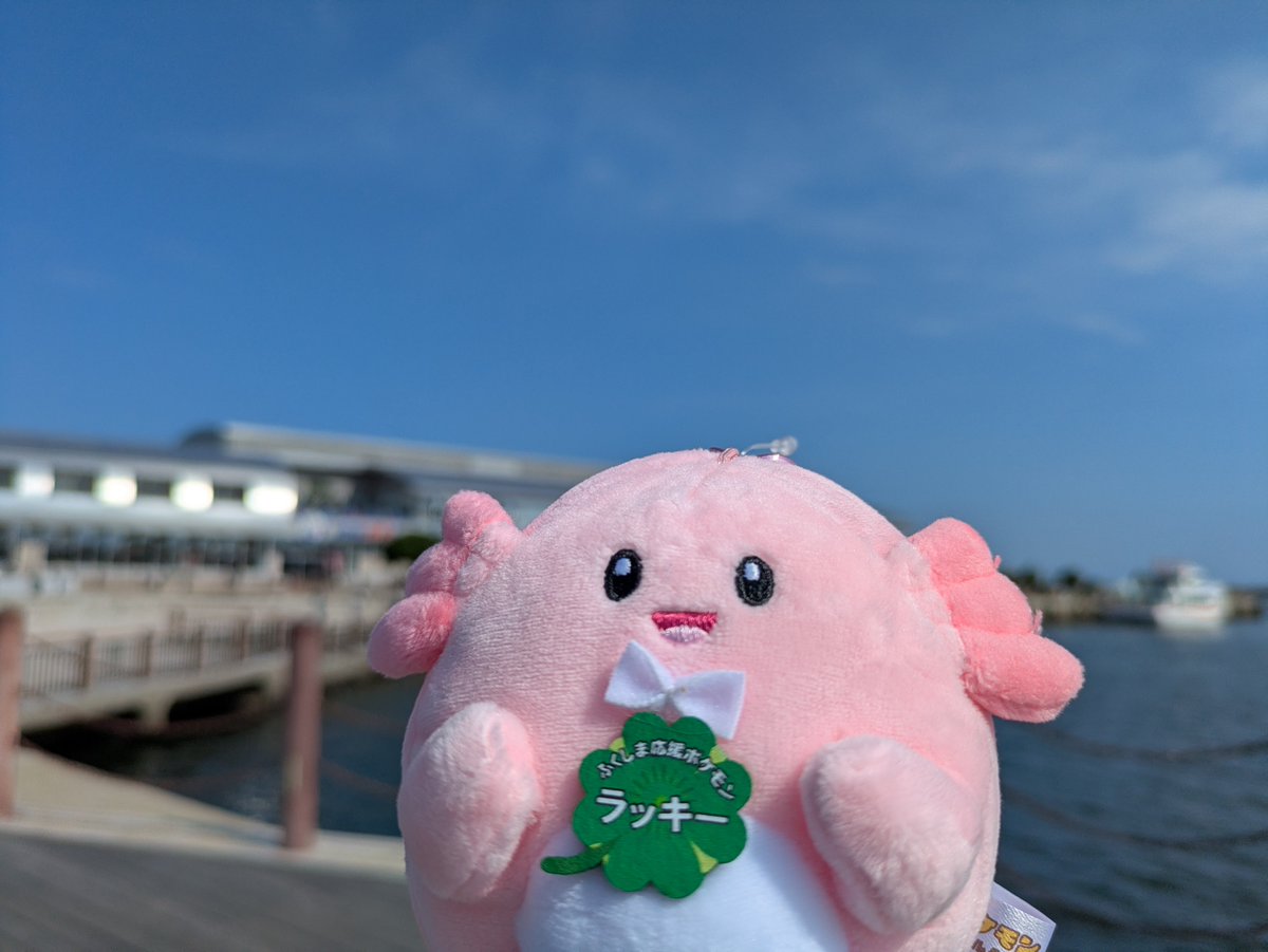 ラッキー ラッキーが仲間になった🫶