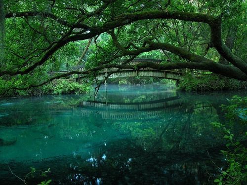 Pure_naturess's tweet photo. nature dressed in blue and green https://t.co/tPCxftiP86