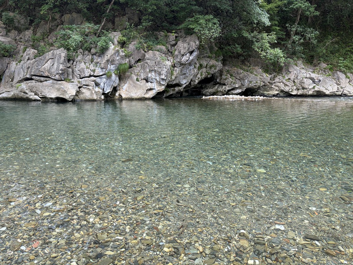 cgp_goto's tweet photo. 自然に癒されました。 https://t.co/CRi39uN3Z1