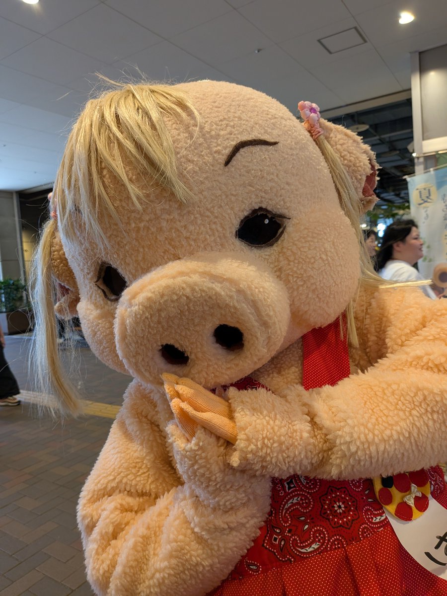 chokogroup's tweet photo. #グリーティング体験ツアー 
赤いスカートのブタちゃん
ピンクリボンのイヌちゃん https://t.co/CBv4akizVi