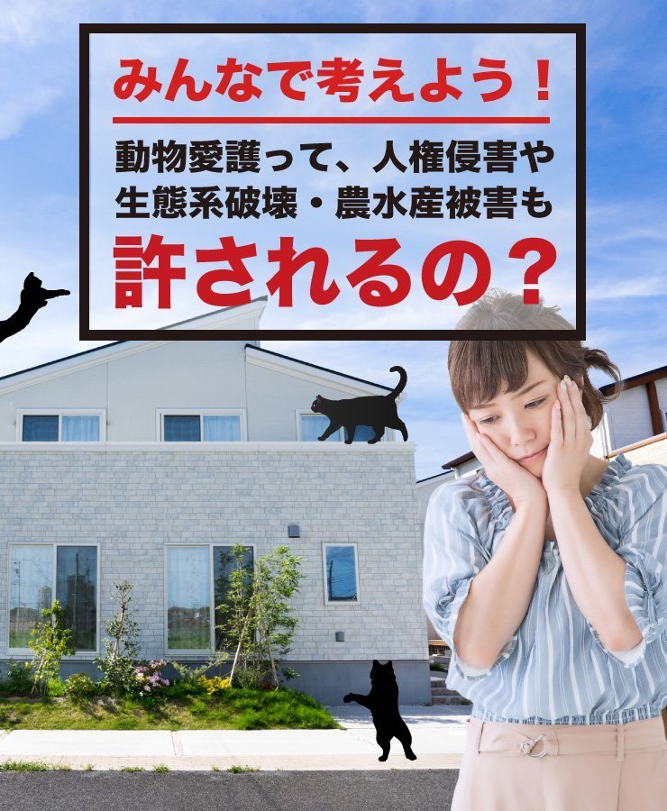 inconvenient_an's tweet photo. 呼び方は大した問題ではなく、イエネコをどんな呼び方をしようとも在来生物への影響や他の問題が考えられれば対処せざるを得ない

色々な呼び方を付けて外に居させる理由を付けようする人がいたから、イエネコに統一するのは良いことだと思う https://t.co/pOpsvD02tS