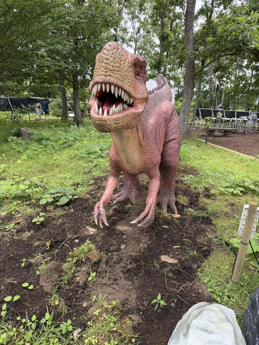 syuu301's tweet photo. 滝のように汗をかきながら、昨日から始まったダイナソーアドベンチャーツアー 大恐竜パークみちのく公園に、母と行ってきました🦖
動くし、楽しかった😆
恐竜、大好きだから楽しめました！
ブルーもいたし、ヴェロキラプトル！ https://t.co/B4i3gGKdTi