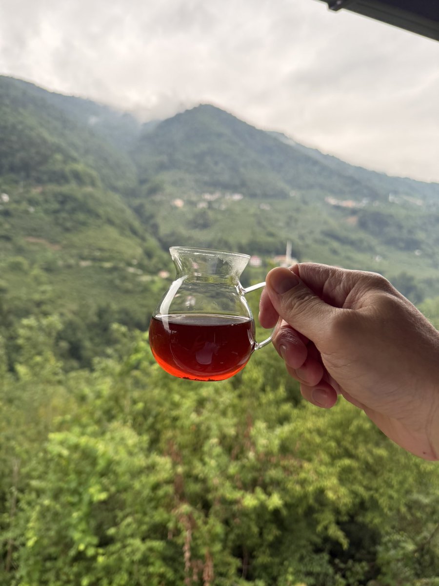 zafersen_com's tweet photo. Çay varsa umutta vardır. 🍃 ☕️ 

📍Trabzon https://t.co/0wDGUtEOop