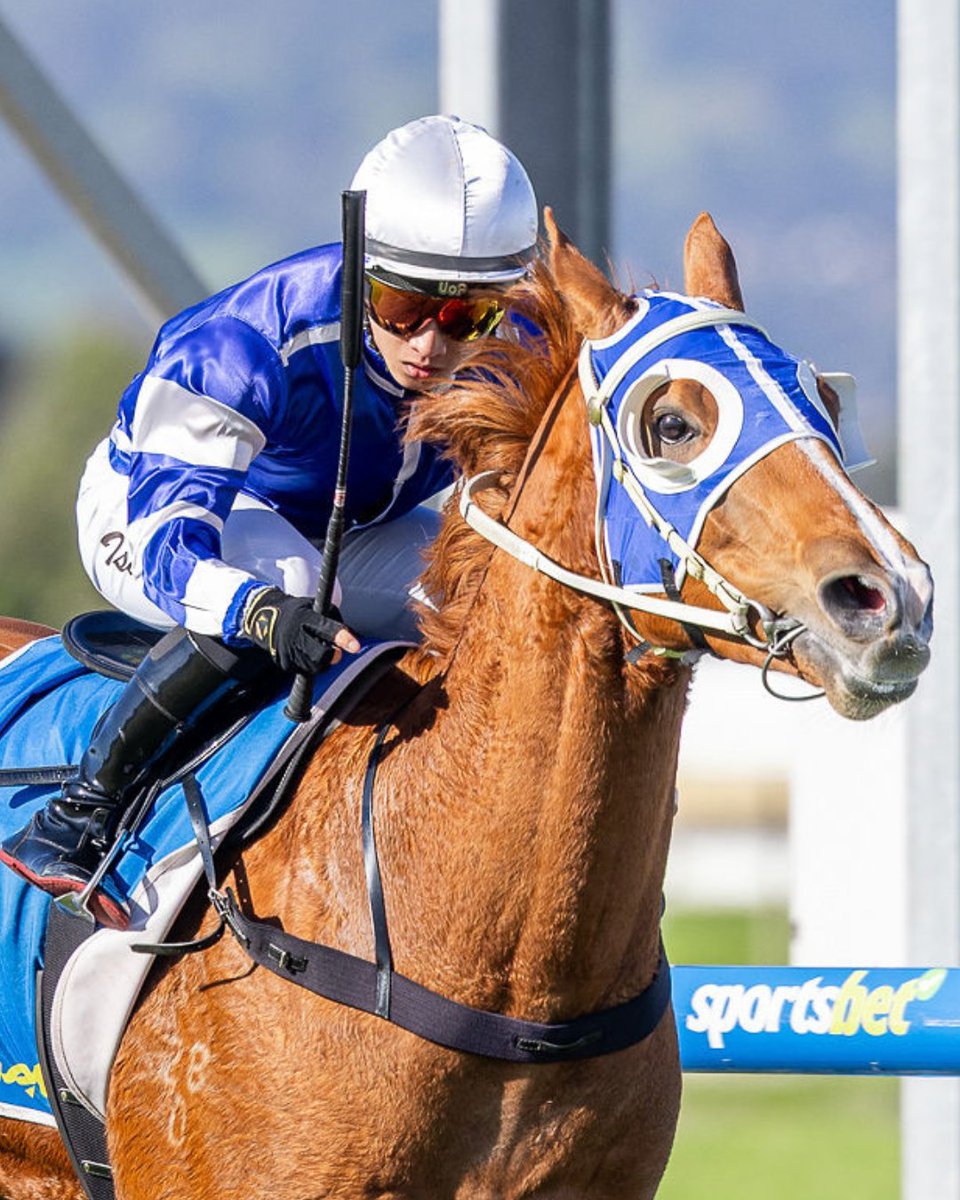 Racing SA tweet media