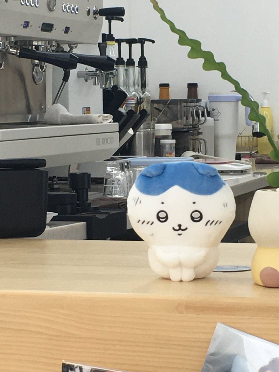Jvxiy_'s tweet photo. 먼작귀 귀욤쓰 https://t.co/KjoA3IMzIv