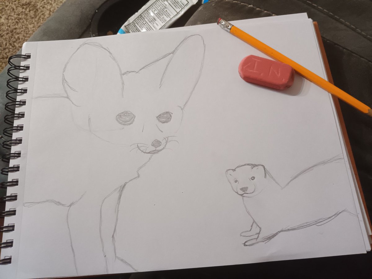 HannahOrte45124's tweet photo. I add the ferret, I think I'm done but I might fix the fennec fox ears a lil bit https://t.co/3JV7na5z6q
