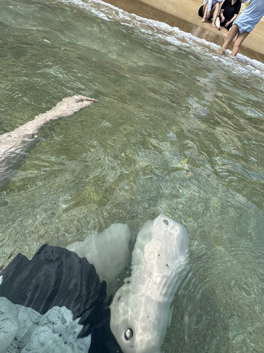 yuno_sa3's tweet photo. 昨日は祭りで今日は海!!🌊夏濃縮💕
ド田舎だからね！うみはきれい✨️✨ https://t.co/0h9v5QC43T